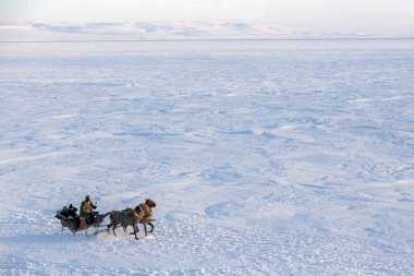 Ardahan şehir içinde donmuş Cildir gölde atlı kızak