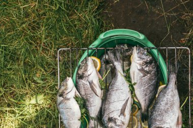 Bahçe ızgarasında limonlu ve maydanozlu taze ve çiğ balık. Yazın bahçede ızgaraya hazır. Sığ Dof ile seçici odak makro görüntüsü