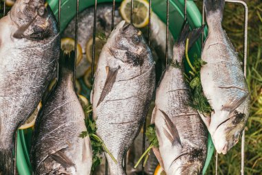 Bahçe ızgarasında limonlu ve maydanozlu taze ve çiğ balık. Yazın barbeküye hazır ol ve çürüğü bekle. Sığ Dof ile seçici odak makro görüntüsü