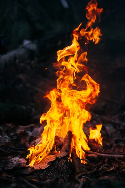 Bruciare legna la sera nella foresta. Campfire al campo turistico nella natura. Barbecue e cucinare aria fresca all'aperto. Fiamma e fuoco scintille su sfondo scuro astratto. Concetto di sicurezza e — Foto Stock