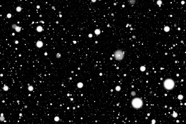 Настоящий яркий белый снег падает на черный фон. Превосходно использовать его в качестве наложения на изображение с помощью экрана или корректирующего слоя Lighten в фотошопе. Так что снег будет настоящим на каждом — стоковое фото