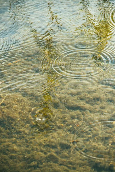 Okręgi deszczowe na przezroczystej powierzchni wody w płytkiej wodzie. Ciepły wiosenny deszczowy dzień — Zdjęcie stockowe