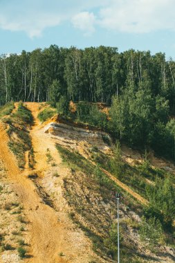 Çam ağaçlarıyla kaplı yüksek kayalık ve dik bir sahil.