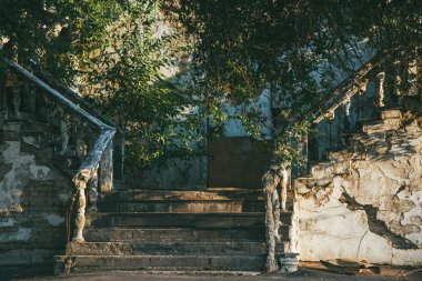 Eski, harap olmuş ve çatlamış merdivenler yosun, ot ve ağaçlarla kaplıydı.