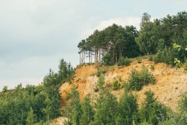 Çam ağaçlarıyla kaplı yüksek kayalık ve dik bir sahil.
