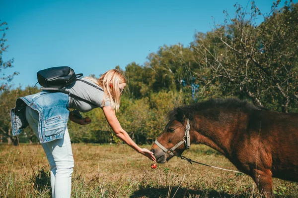 Lange haren mooie jonge blonde vrouw in een grijze tshirt, licht blauwe jeans en gebonden aan de heupen denim jas, gebogen en voeden van een appel aan een bruine pony in het park over de achtergrond van de appel — Stockfoto