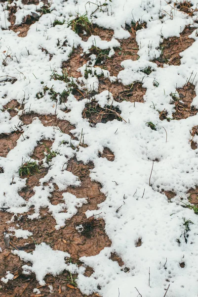 Hóval borított föld barna talajjal és zöld fűvel. Hamarosan itt a tavasz. — Stock Fotó