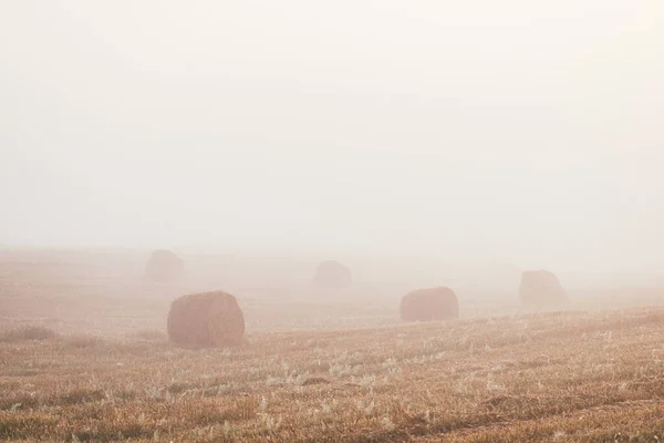 Een late zomerochtend mistig landschap met ronde hooibalen. Scène van oogst en vruchtbaarheid — Stockfoto