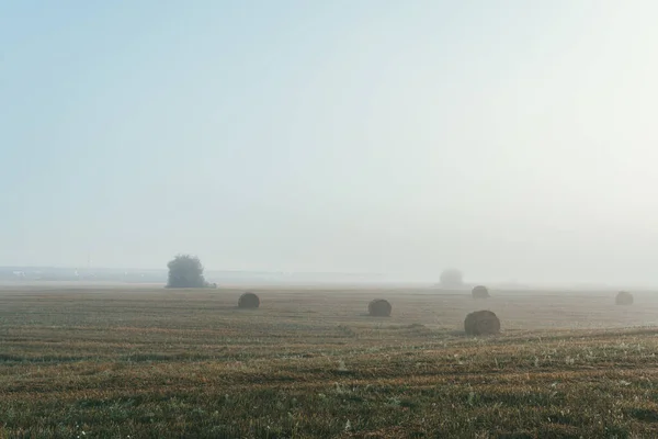 Een late zomerochtend mistig landschap met ronde hooibalen. Scène van oogst en vruchtbaarheid — Stockfoto