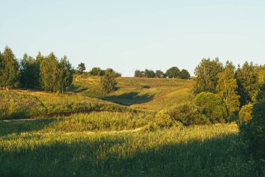 Ön planda ağaçlar ve çayırlar ve arka planda güneşle aydınlatılan ormanlarla güzel bir bahar manzarası.