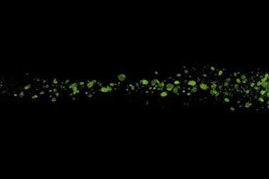 Soyut yeşil alan dalgalı çizgisi siyah arkaplanda izole edilmiş yapraklar çiziyor. İlkbahar sağlıklı illüstrasyon örtüsü