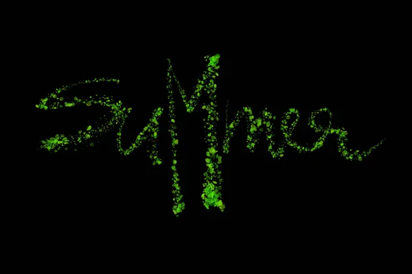 Word summer made by green handmade leaves lettering over black background — Stock Photo, Image
