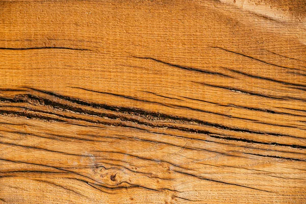 Hermosa textura rica de un árbol noble cubierto de grietas profundas — Foto de Stock