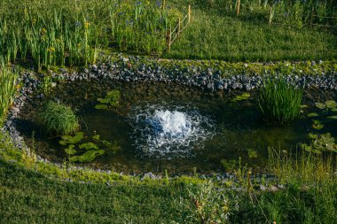 Çeşmeli şeffaf temiz gölet ve yeşil bir yaz bahçesinde zambaklar.