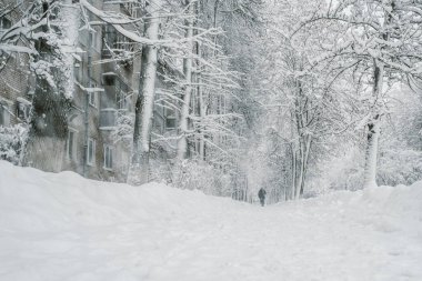 Karlı bir yol, ağaçlar ve ortada yürüyen bir adam figürü ile Geniş Görüş Alanı. Kar fırtınası kar fırtınası durumu