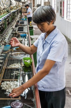 Suzhou, Çin - 12 Ağustos 2011: Suzhou No.1 ipek fabrikası fabrika İpek iplik Maker'da görünümünü. İpek hangi bazı türlerinin Tekstil dokunmuş olabilir doğal bir kumaş değil. Koza elde edilir