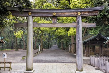 Tokyo, Japonya'da Meiji Tapınağı ormandaki yakın kapı. Bir yakın, en yaygın bir Shinto Tapınağı girişinde bulunan geleneksel bir Japon kapısıdır. Geçiş küfür gelen kutsal işaretler