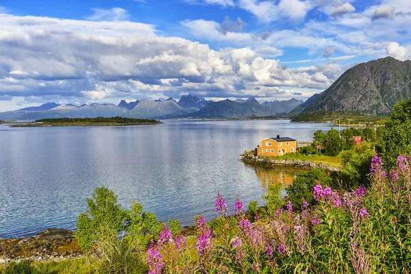 Lofoten ilhas paisagem, Noruega — Fotografia de Stock