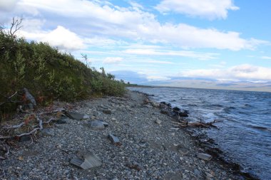 Tornetrask Gölü 'nün yakınında, Abisko Ulusal Parkı, Kuzey İsveç