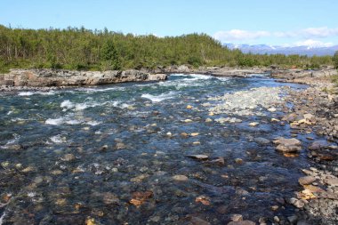 Kuzey Kutbu tundrasındaki Kungsleden nehrinin genel görüntüsü. Abisko Milli Parkı, İsveç