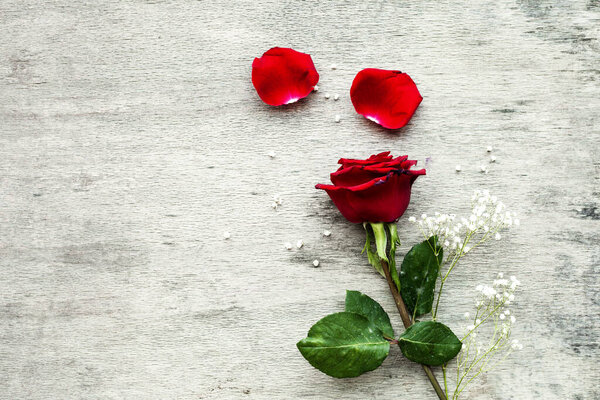 Valentine day composition of a red rose lying on a floor. Studio shot on a wooden background.