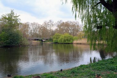 Mavi gökyüzü yansımalı göl. Bulutlu bir yaz gününde parkta sakin bir göl. Bir bahar günü nehir kenarındaki yeşil söğüt ağacı.