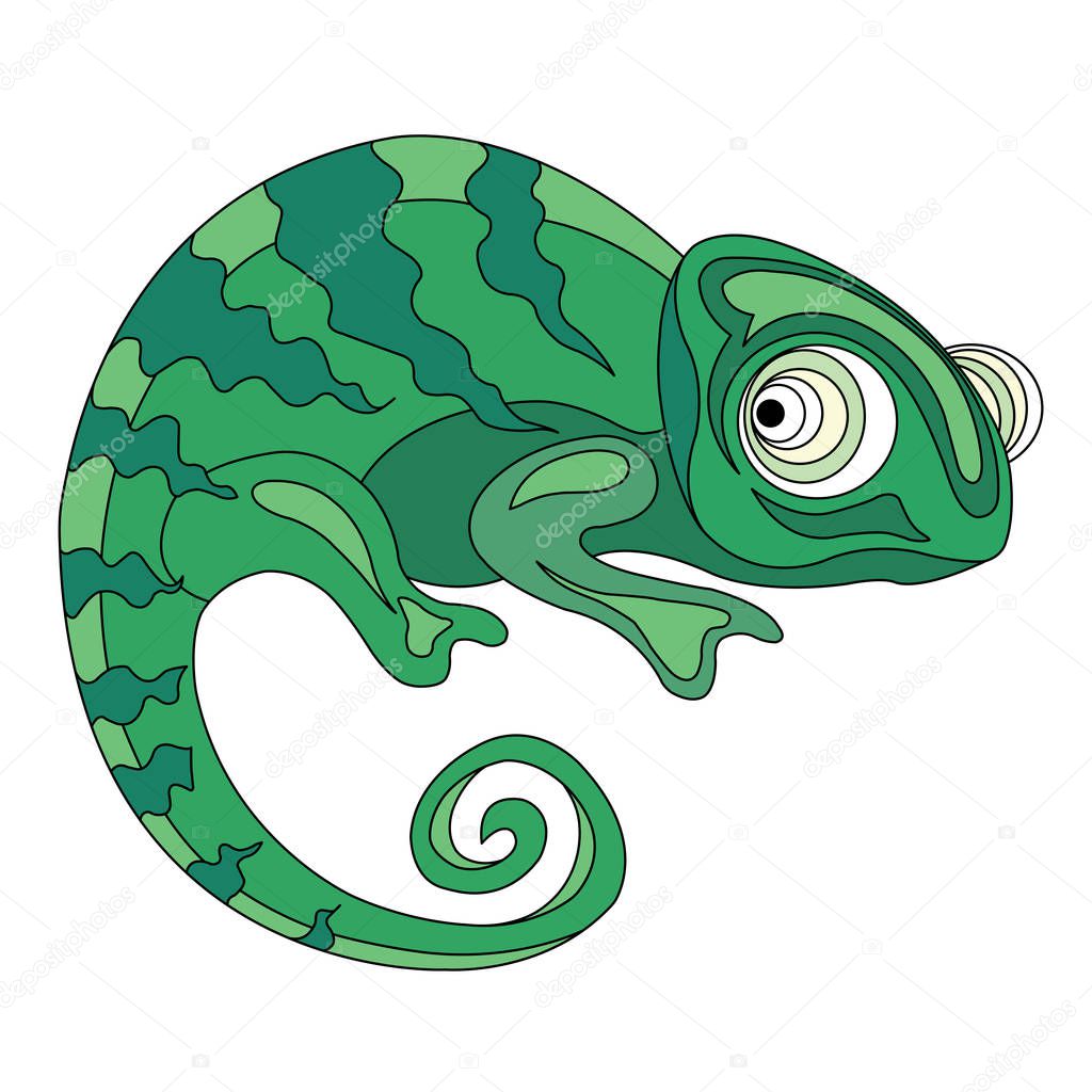 Green exotic veiled chameleon