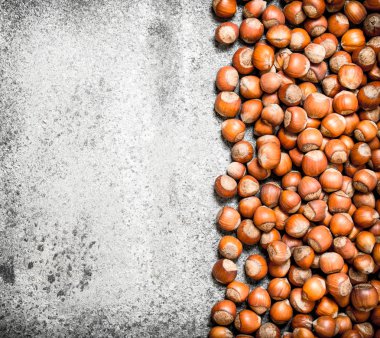 Taze fındık. Fındık.