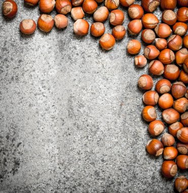 Taze fındık. Fındık.