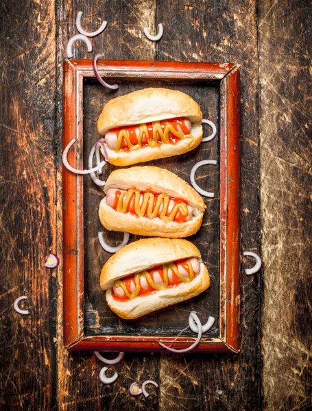 Cachorros-quentes com mostarda e molho de tomate na placa . — Fotografia de Stock