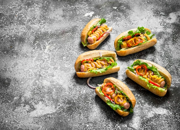 Cibo di strada. Deliziosi hot dog con salsa di pomodoro, senape ed erbe aromatiche . — Foto Stock