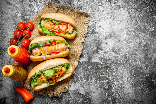 Cibo di strada. Deliziosi hot dog con salsa di pomodoro, senape ed erbe aromatiche . — Foto Stock