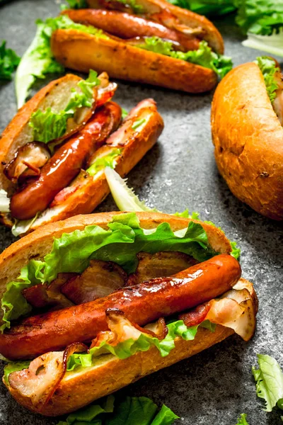 Menù fast food. Hot dog barbecue di manzo con pancetta ed erbe aromatiche . — Foto Stock