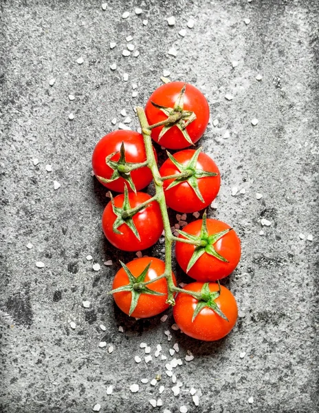 Branch of red ripe tomatoes. — Stock Photo, Image