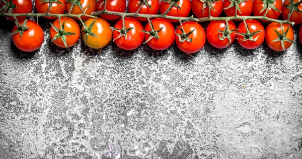 Свіжі помідори . — стокове фото