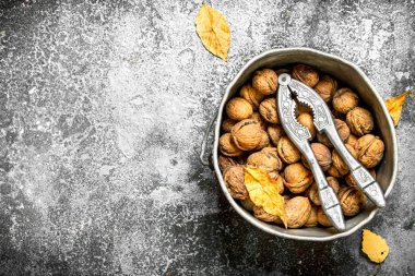 Eski kova içinde ceviz.