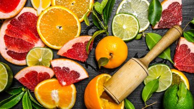 Narenciye - greyfurt, portakal, mandalina, limon, limon. 