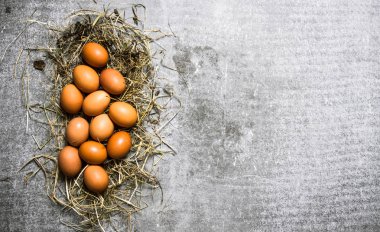 Saman içinde yumurta kümesi. Taş zemin üzerine.