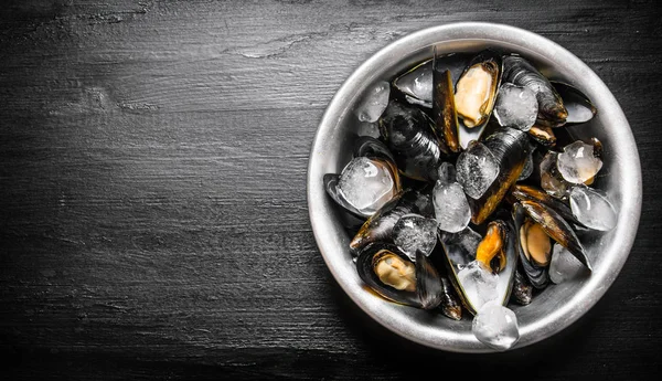 Almejas frescas en una taza con hielo. Sobre fondo de madera negro . — Foto de Stock