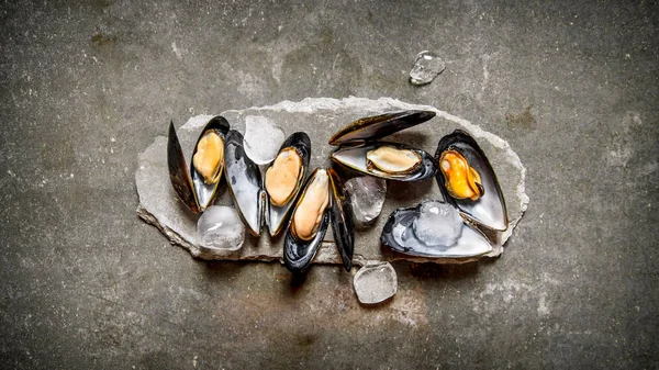 Muscheln mit Eis auf einem Steinständer. auf Steintisch. — Stockfoto