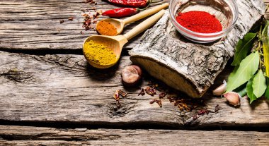 Biber, huş ağacı stand Aromatik baharatlar ve otlar ile. 