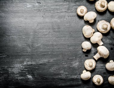 Siyah arka planda taze mantarlar.