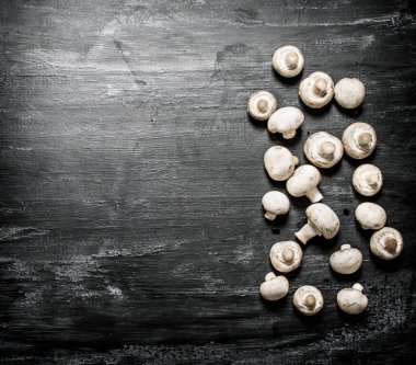 Siyah arka planda taze mantarlar.