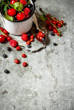 Mug içinde taze berry