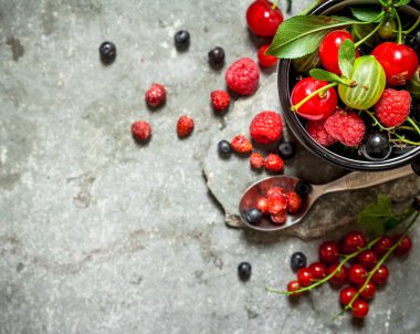 Mug içinde taze berry