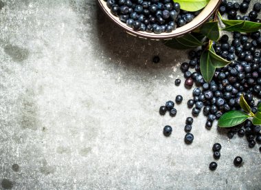 Yaprakları bir fincan ile yaban mersini. Taş masanın üzerine.