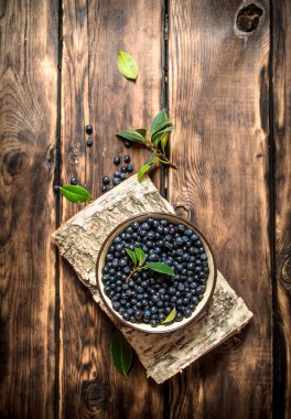 Bir fincan standında yaban yaban mersini.