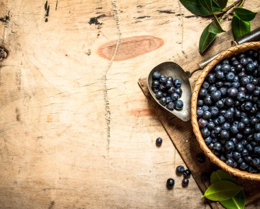 Yaban mersini bir kaşıkla Kupası.