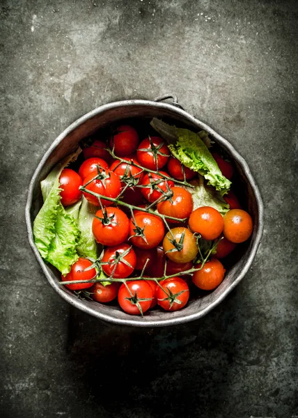 Tomates en la olla vieja . — Foto de Stock