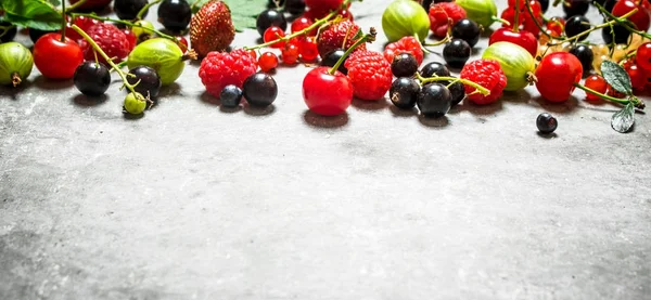 Dzikie owoce jagodowe na stole z kamienia. — Zdjęcie stockowe